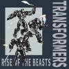 YOLOPARK Bumblebee Transformers Toy Rise of The Beasts Action Figure,Highly Articulated 6.5 Inch Transformer Toys for Boys Girls 8 Years Old and Up,No Converting Bumblebee Model Kit(Optimus Primal)