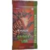 Magic: The Gathering The Brothers’ War Collector Booster | 15 Magic Cards(Collector Booster)