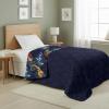 Northwest Transformers Logo Quilted Blanket, Comfy Throw, Adults Boys Girls, Soft Lightweight Bedding for Bed, or Couch, 60 x 80 inches(Dragons and Dive)